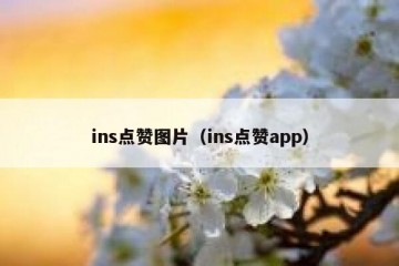 ins点赞图片（ins点赞app）
