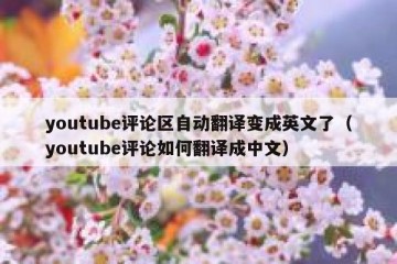 youtube评论区自动翻译变成英文了（youtube评论如何翻译成中文）