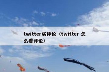 twitter买评论（twitter 怎么看评论）