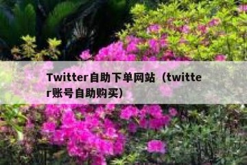Twitter自助下单网站（twitter账号自助购买）