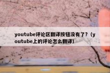 youtube评论区翻译按钮没有了?（youtube上的评论怎么翻译）