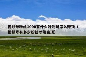 视频号粉丝1000有什么好处吗怎么赚钱（视频号有多少粉丝才能变现）