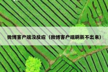 微博客户端没反应（微博客户端刷新不出来）
