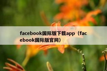 facebook国际版下载app（facebook国际版官网）