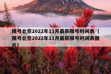 限号北京2022年11月最新限号时间表（限号北京2022年11月最新限号时间表图片）