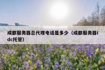 成都服务器总代理电话是多少（成都服务器idc托管）