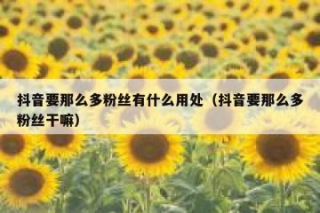 抖音要那么多粉丝有什么用处（抖音要那么多粉丝干嘛）
