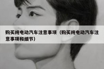 购买纯电动汽车注意事项（购买纯电动汽车注意事项和细节）
