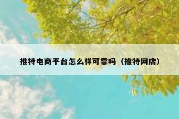 推特电商平台怎么样可靠吗（推特网店）
