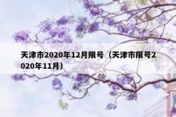 天津市2020年12月限号（天津市限号2020年11月）