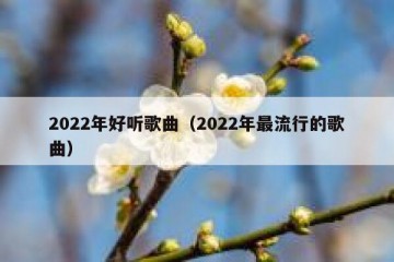 2022年好听歌曲（2022年最流行的歌曲）