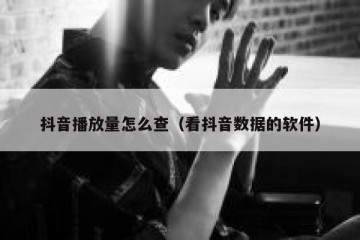 抖音播放量怎么查（看抖音数据的软件）