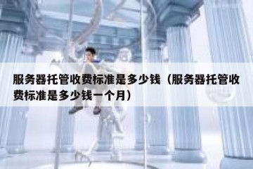 服务器托管收费标准是多少钱（服务器托管收费标准是多少钱一个月）