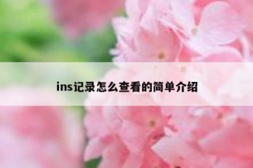 ins记录怎么查看的简单介绍