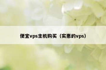便宜vps主机购买（实惠的vps）