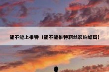 能不能上推特（能不能推特莉丝影响结局）
