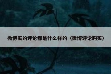 微博买的评论都是什么样的（微博评论购买）