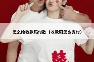 怎么给收款码付款（收款码怎么支付）