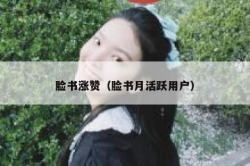 脸书涨赞（脸书月活跃用户）