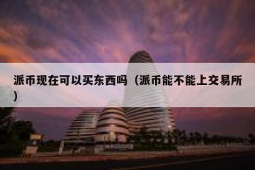 派币现在可以买东西吗（派币能不能上交易所）