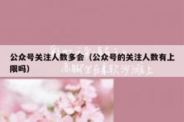 公众号关注人数多会（公众号的关注人数有上限吗）