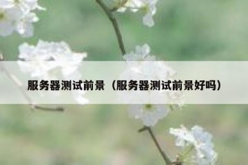 服务器测试前景（服务器测试前景好吗）
