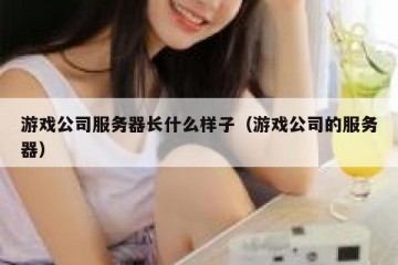 游戏公司服务器长什么样子（游戏公司的服务器）