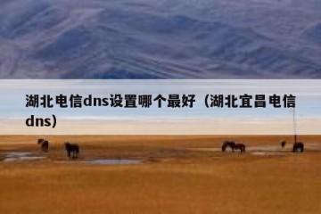 湖北电信dns设置哪个最好（湖北宜昌电信dns）