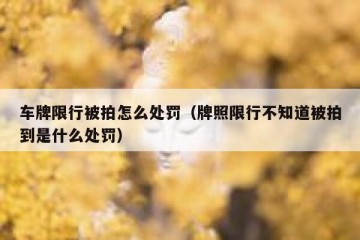 车牌限行被拍怎么处罚（牌照限行不知道被拍到是什么处罚）