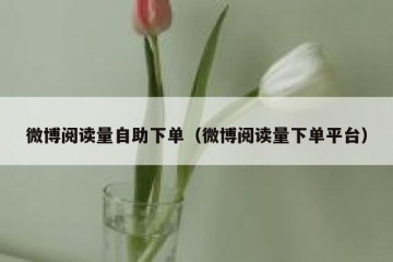 微博阅读量自助下单（微博阅读量下单平台）