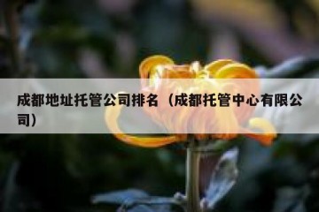成都地址托管公司排名（成都托管中心有限公司）