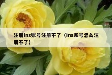 注册ins账号注册不了（ins账号怎么注册不了）