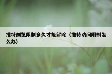 推特浏览限制多久才能解除（推特访问限制怎么办）