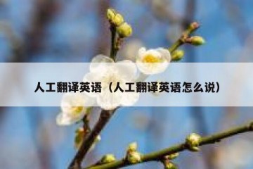 人工翻译英语（人工翻译英语怎么说）
