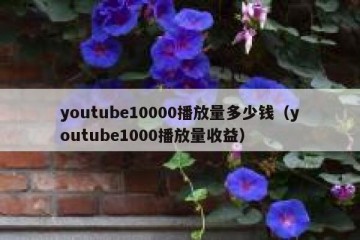 youtube10000播放量多少钱（youtube1000播放量收益）