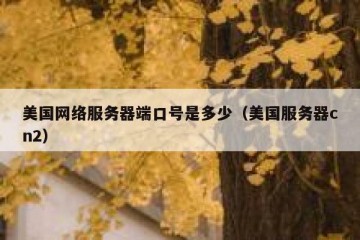 美国网络服务器端口号是多少（美国服务器cn2）
