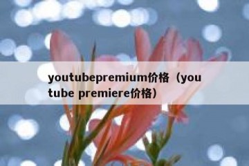youtubepremium价格（youtube premiere价格）
