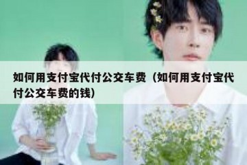 如何用支付宝代付公交车费（如何用支付宝代付公交车费的钱）