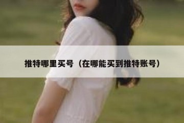 推特哪里买号（在哪能买到推特账号）