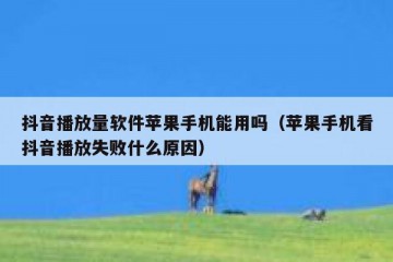 抖音播放量软件苹果手机能用吗（苹果手机看抖音播放失败什么原因）