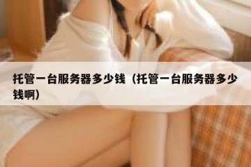 托管一台服务器多少钱（托管一台服务器多少钱啊）