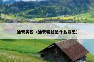 油管买粉（油管粉丝是什么意思）