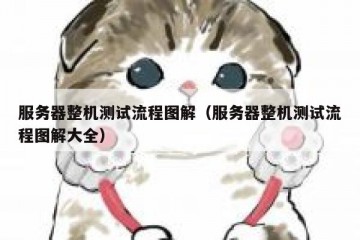 服务器整机测试流程图解（服务器整机测试流程图解大全）