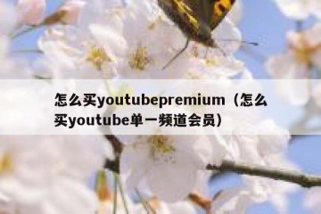 怎么买youtubepremium（怎么买youtube单一频道会员）