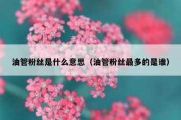 油管粉丝是什么意思（油管粉丝最多的是谁）