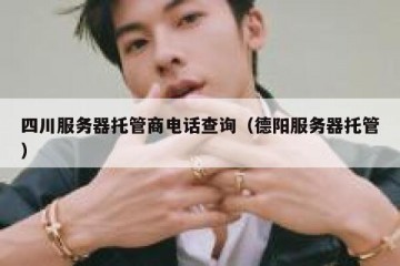 四川服务器托管商电话查询（德阳服务器托管）