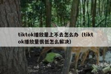 tiktok播放量上不去怎么办（tiktok播放量很低怎么解决）