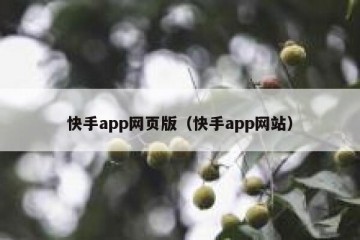 快手app网页版（快手app网站）