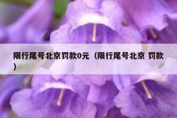 限行尾号北京罚款0元（限行尾号北京 罚款）