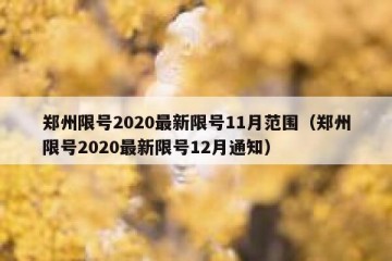 郑州限号2020最新限号11月范围（郑州限号2020最新限号12月通知）